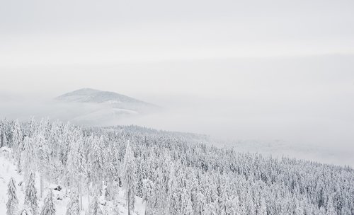 mountains  snow