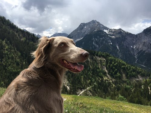 mountains  hiking  austria