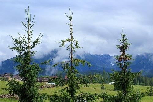 mountains  view  mountain landscape