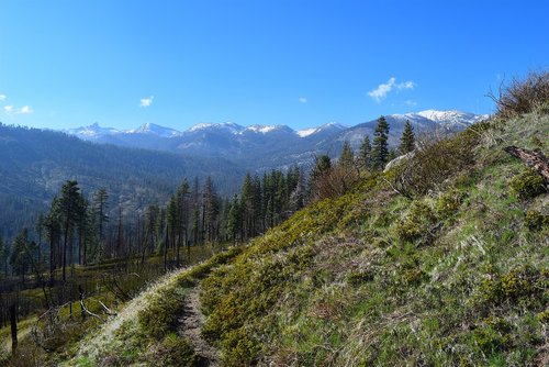 mountains  nature  trees