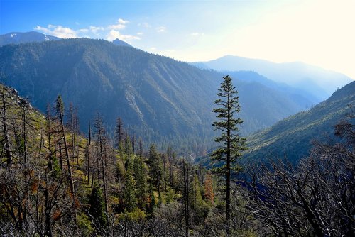 mountains  nature  trees