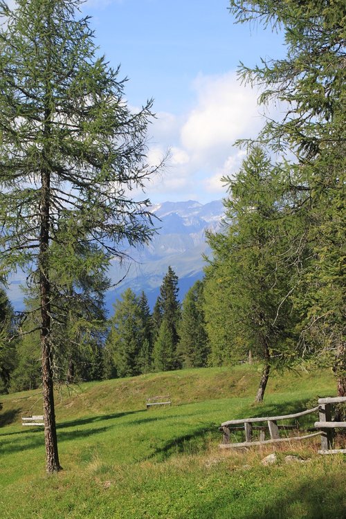 mountains  tree  idyll