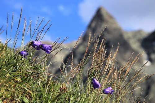 mountains  the height of the  summer