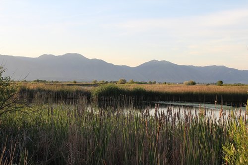 mountains  cache valley  marsh