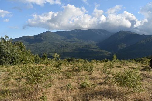 mountains  forest  landscape