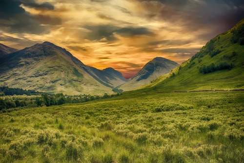 mountains  meadow  landscape