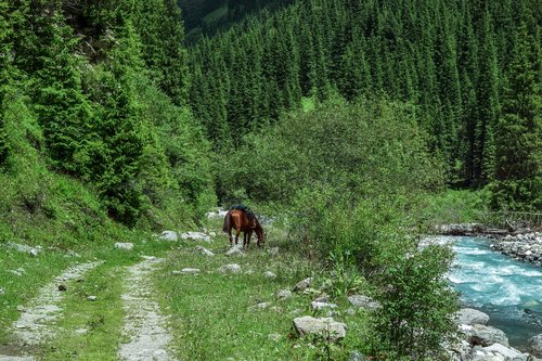 mountains  tianshan  snow