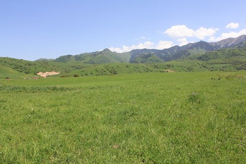 mountains  grass  landscape