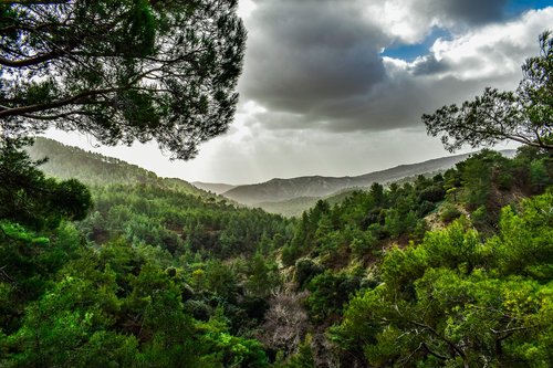 mountains  trees  landscape