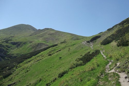 mountains  green  nature