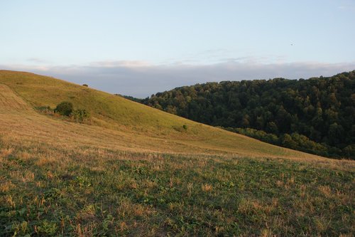 mountains  meadow  grass