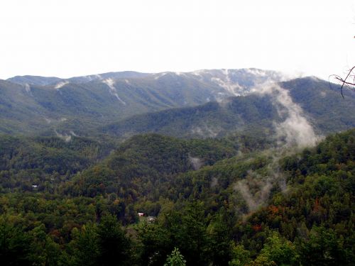 mountains fog trees