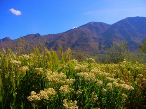 mountains landscape travel