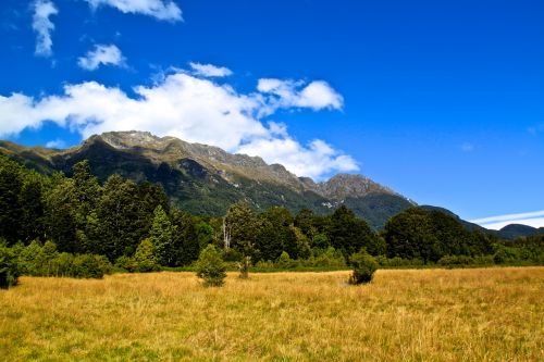 mountains grass nature