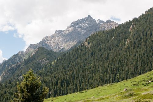 mountains peak greens