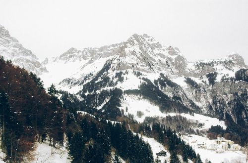 mountains winter trees