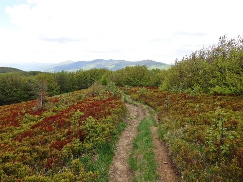 mountains landscape trail