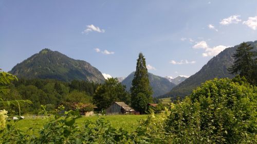 mountains summer nature