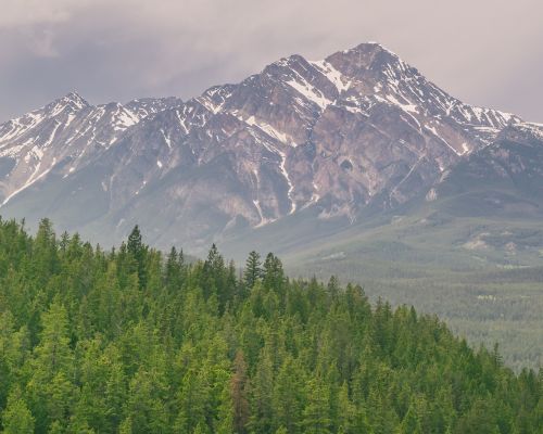 mountains forests nature