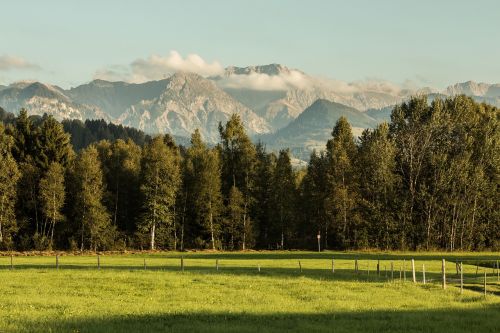 mountains forest meadow