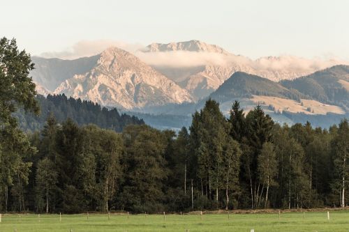 mountains forest meadow