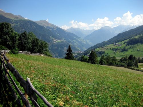 mountains meadow alpine