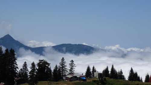 fog cottage landscape