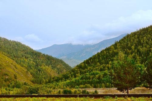 Mountains And Forests