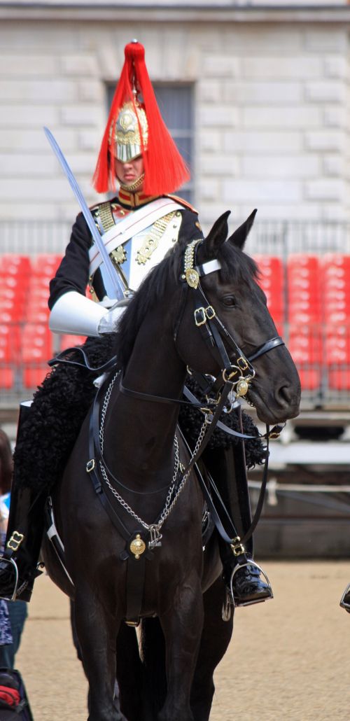 Mounted Household Cavalry Soldier
