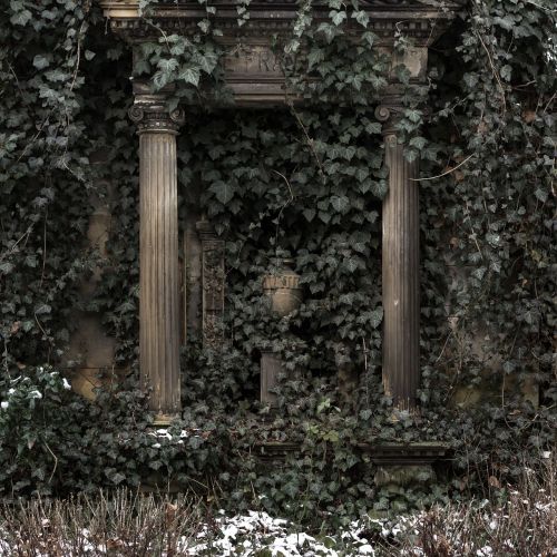 mourning ivy grave