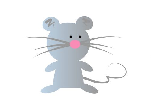 mouse animal rodent