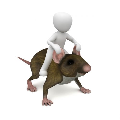 mouse rat ride