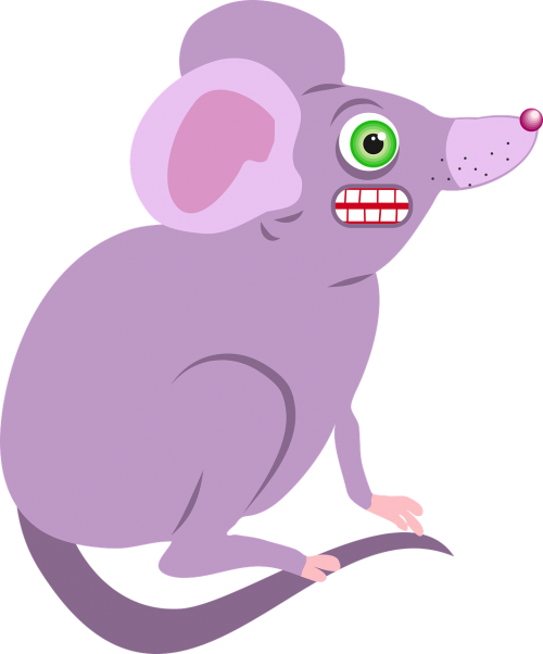 mouse animal cartoon