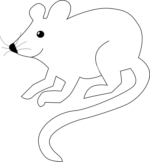 mouse white long