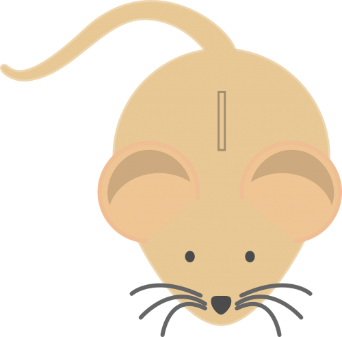 mouse cute piggy bank