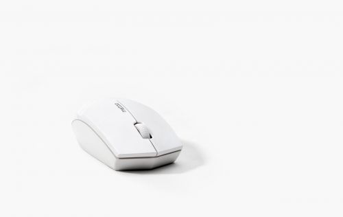 mouse white