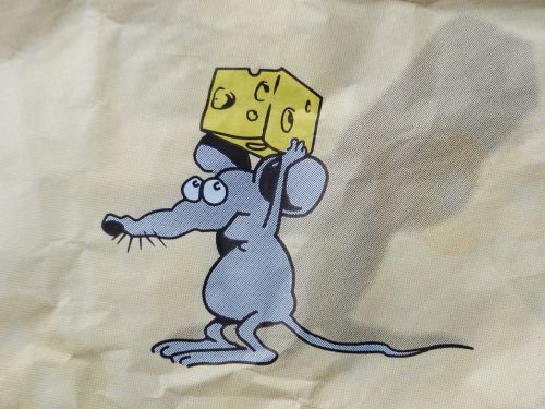 mouse cheese stolen