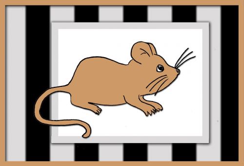 mouse animal nager
