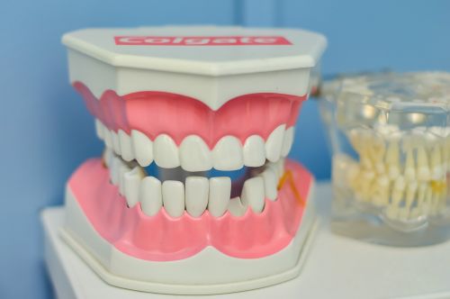 mouth tooth macromodelo