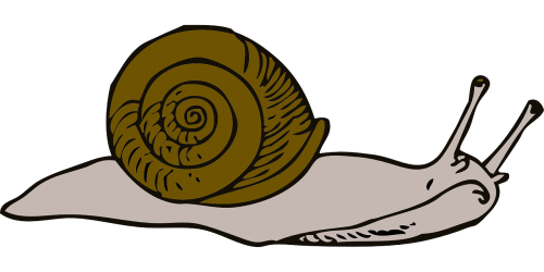 move snail long
