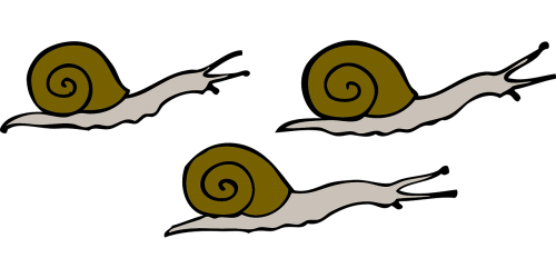 movement snails moving