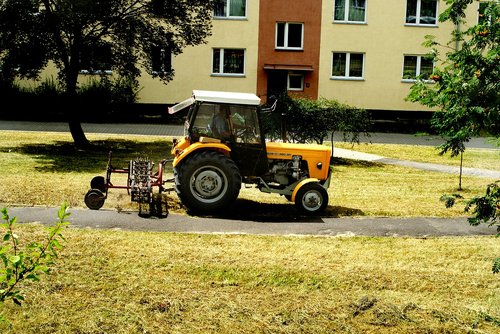 mowing  grass  lawn mower