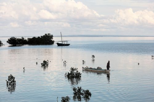 mozambique ibo island fishing