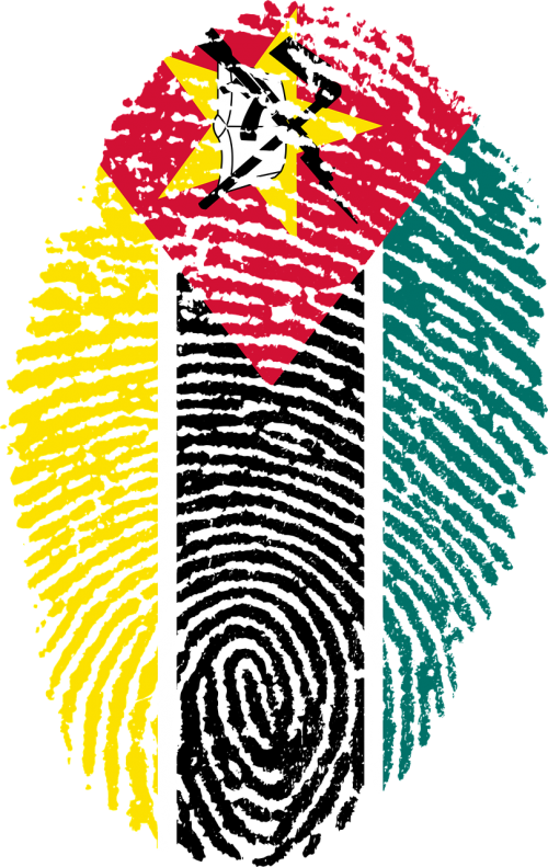 mozambique flag fingerprint