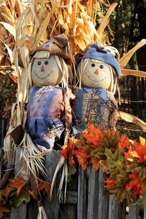 Mr. And Mrs. Scarecrow