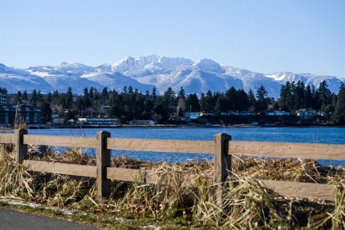 mt arrowsmith fence snow