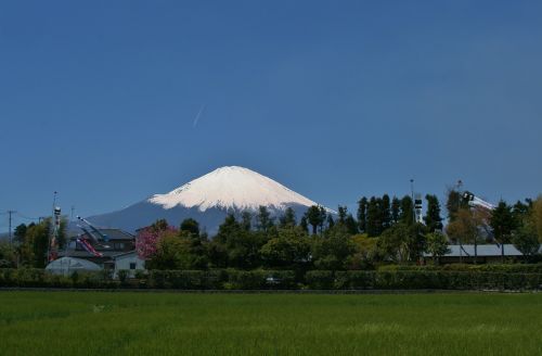 mt fuji gotemba satsuki