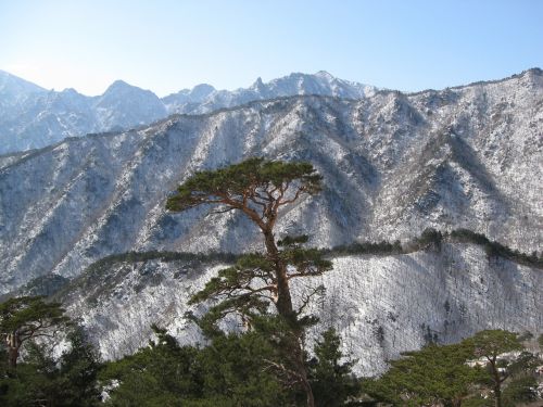 mt seoraksan snow and rock ulsan rock