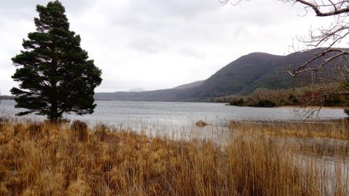 muckross lake ireland wanderlust