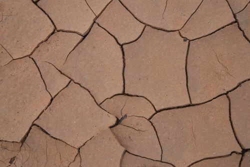 mud drought cracked earth